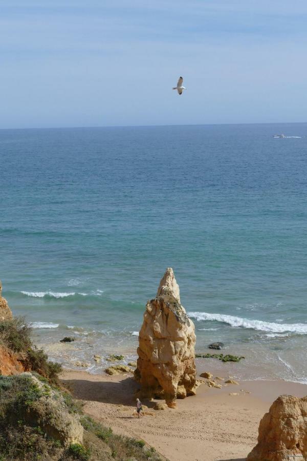Praia Da Rocha, Algarve Sunny Apartment Portimão Exteriör bild